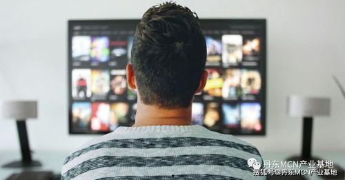 娱乐吃瓜君喷头视频,揭秘娱乐圈幕后真相